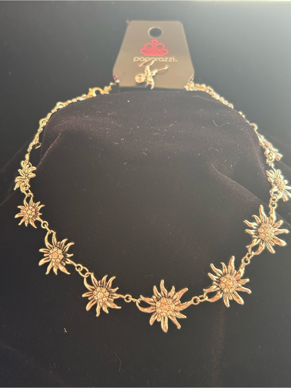 Paparazzi Silver Floral Sunburst Necklace -